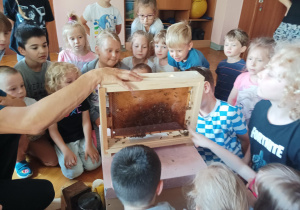 dzieci zebrane na sali gimnastycznej oglądają ul i domek dla pszczół