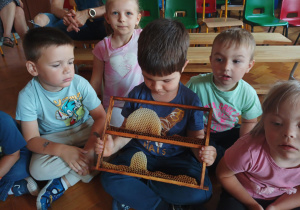 dzieci zebrane na sali gimnastycznej oglądają plastry miodu