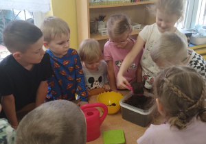 dzieci zgromadzone wokół stolika zakładają hodowlę roślin