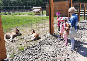 Dzieci oglądają zwierzęta.