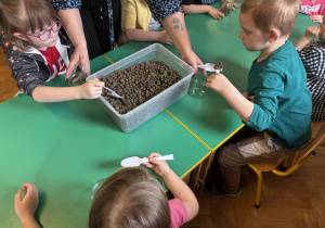 Dzieci siedzą przy stolikach i wsypują keramzyt do słoików.