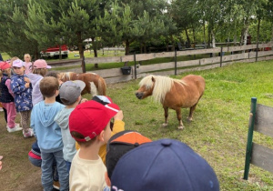 Dzieci oglądają zwierzęta.