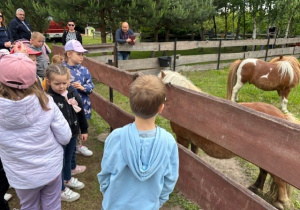 Dzieci oglądają zwierzęta.