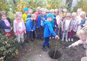 Dzieci wsadzają wierzbę do dołu i zasypują.