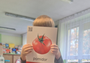 Chłopiec prezentuje plansze z pomidorem.