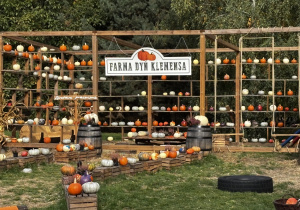 Farma dyń Klemensa.