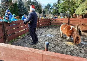 Dzieci stoją za płotem. W zagrodzie znajdują się opiekun i dwa kuce.