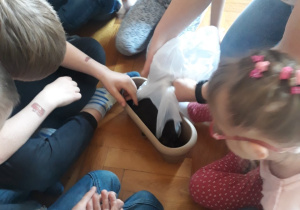 Dzieci siedzą na podłodze i obserwują panią jak wsypuje ziemię do donicy.