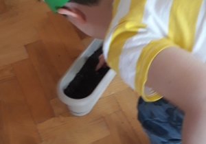 Dzieci wkładają nasiona do ziemi.
