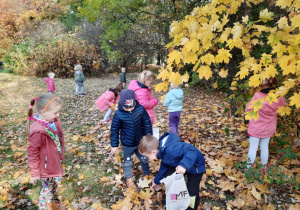 Dzieci zbierają liście w parku.