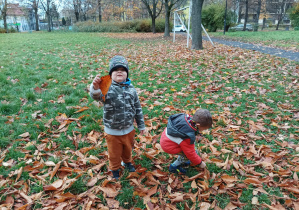 dzieci na spacerze w parku zbierają liście