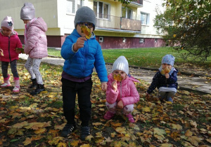 Dzieci zbierają liście.