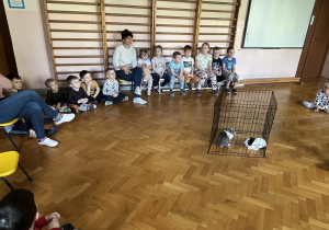 dzieci siedzą dookoła sali gimnastycznej, na środku sali stoi klatka, a w niej 2 króliki
