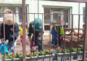 dzieci podlewają rośliny posadzone w doniczkach