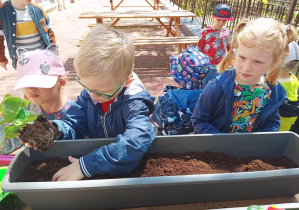 dzieci sadzą rośliny do dużej doniczki