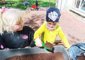 dzieci sadzą rośliny do dużej doniczki