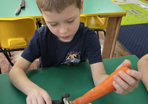Chłopiec siedzi przy stole i obiera marchewkę.