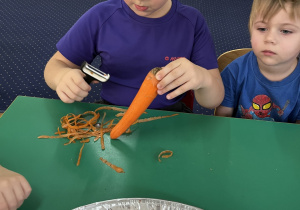 Dziewczynka siedzi przy stole i obiera marchewkę.
