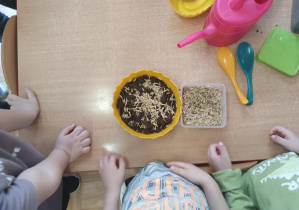 dzieci zgromadzone wokół stolika zakładają hodowlę roślin