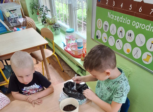 Sadzimy rośliny w klasie i ogrodzie