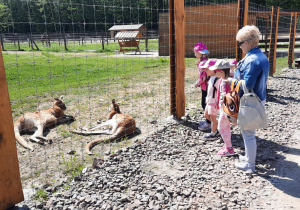 Dzieci oglądają zwierzęta.