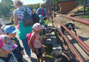 dzieci na wycieczce w Dobroniance, karmią zwierzęta marchewkami