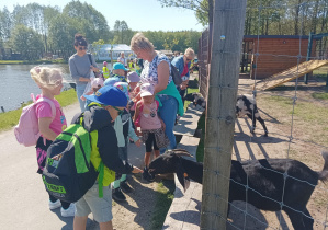 dzieci na wycieczce w Dobroniance, karmią zwierzęta marchewkami