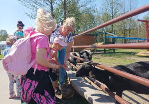 dzieci na wycieczce w Dobroniance, karmią zwierzęta marchewkami