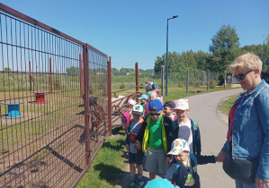 dzieci na wycieczce w Dobroniance, karmią zwierzęta marchewkami