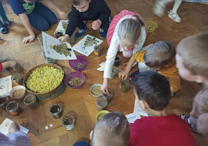 dzieci na warsztatach poznają zioła, rośliny i przyprawy