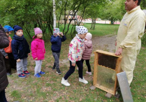 Dzieci z grupy 4 poznają życie pszczół.