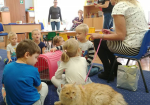 Opiekunka Iwana opowiada dzieciom z grupy 1 o zwyczajach kotów.