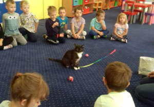 Dzieci z grupy 2 słuchają o zwyczajach kotów.