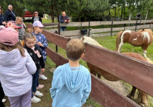 Dzieci oglądają zwierzęta.