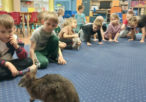 Dzieci siedzą w kole na dywanie i obserwują kangura.