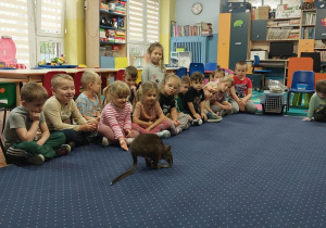 Dzieci siedzą w kole na dywanie i obserwują kangura.