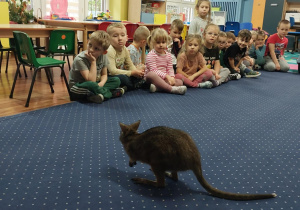 Dzieci siedzą w kole na dywanie i obserwują kangura.