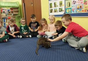 Dzieci siedzą w kole na dywanie i obserwują kangura.