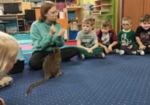 Dzieci siedzą w kole na dywanie i obserwują kangura.