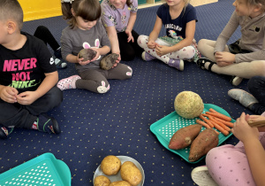 Dzieci siedzą na dywanie i oglądają warzywa.