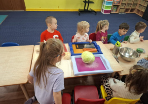 Dzieci siedzą przy stole na którym leżą warzywa i przedmioty niezbędne do kiszenia kapusty.