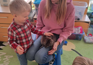 Chłopiec dotyka kangura.