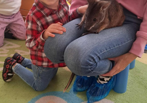 Chłopiec i kangur pozują do zdjęcia.