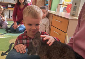 Chłopiec dotyka kangura.