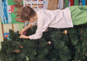 Chłopiec wiesza ozdoby na choince.