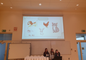 Tablica multimedialna.