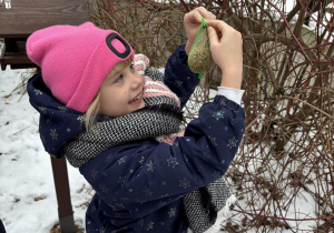 Dziewczynka zawiesza tłuszczową kulę dla ptaków.