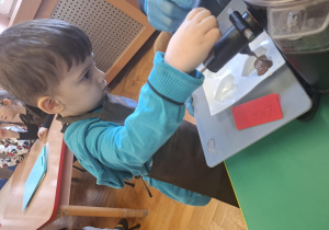 dzieci ubrane w brązowe fartuszki biorą udział w czekoladowych warsztatach, samodzielnie ozdabiają czekoladę w kształcie serca