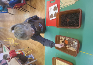 dzieci ubrane w brązowe fartuszki biorą udział w czekoladowych warsztatach, samodzielnie ozdabiają czekoladę w kształcie serca