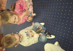 dzieci siedzą w kole na dywanie, podają sobie małego żółwia